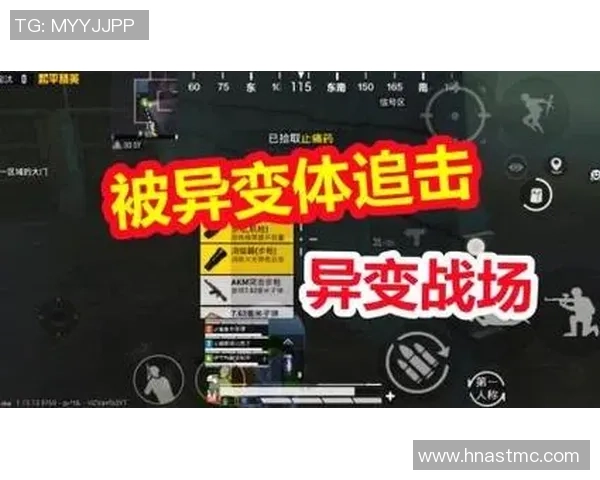 和平精英V5版本反击策略全解析助你在战场上逆袭成功