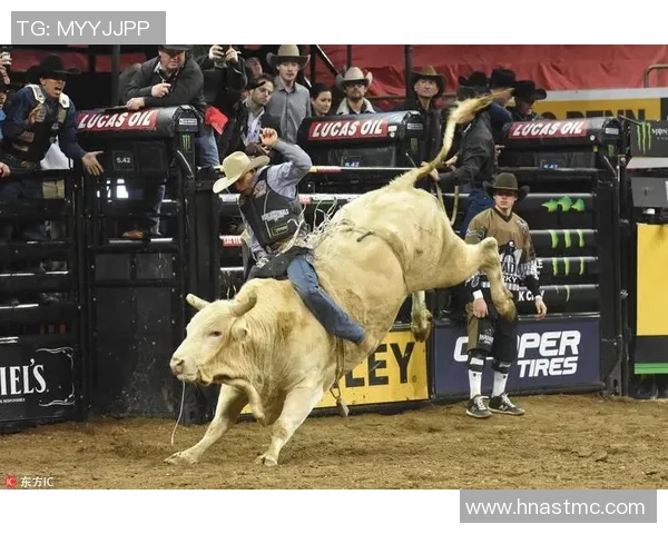 武汉极限运动队荣登全国极限运动节奏排行榜第五名的辉煌成就 武汉极限运动队荣登全国极限运动节奏排行榜第五名的辉煌成就