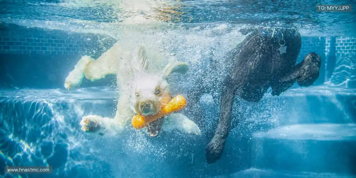 ⚽️燃爆全场,热血赛事等你挑战!